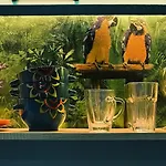 Private With Parking And Pool Balchik